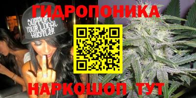 ГАЛЛЮЦИНОГЕННЫЕ ГРИБЫ Кумертау