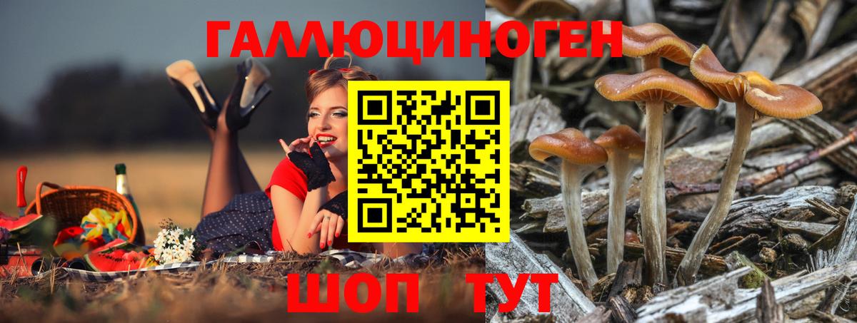 Галлюциногенные грибы ЛСД  Вход с VPN  Егорьевск  Галлюциногенные грибы Magic Shrooms 