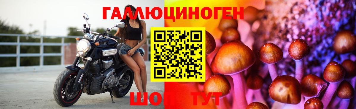 Псилоцибиновые грибы Cubensis Егорьевск